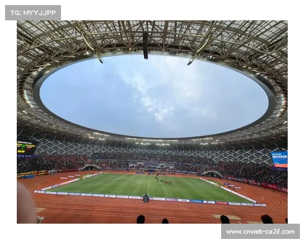 马赛球迷Tifo致敬鲍勃马利，融合音乐与足球文化